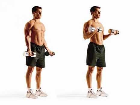 biceps kizkurrak pisua galtzeko