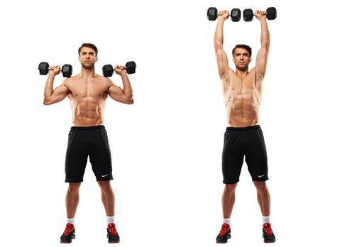 zutik dumbbell prentsa